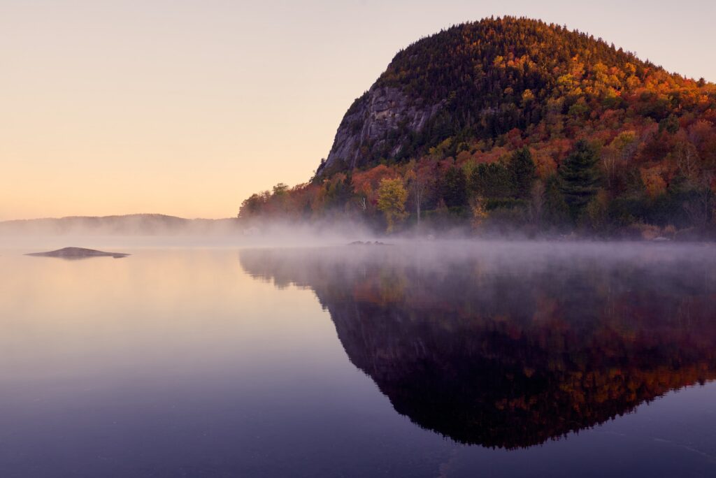 An open landscape suggesting open source and open access.