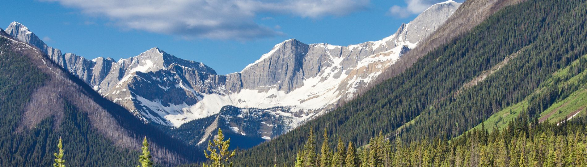 The Rocky Mountains span British Columbia and Alberta. Here, the blue sky and steel grey clouds are set against the rising peaks spotted with snow, with the coniferous tree line below. This photo was taken by PKP's Jason Nugent.